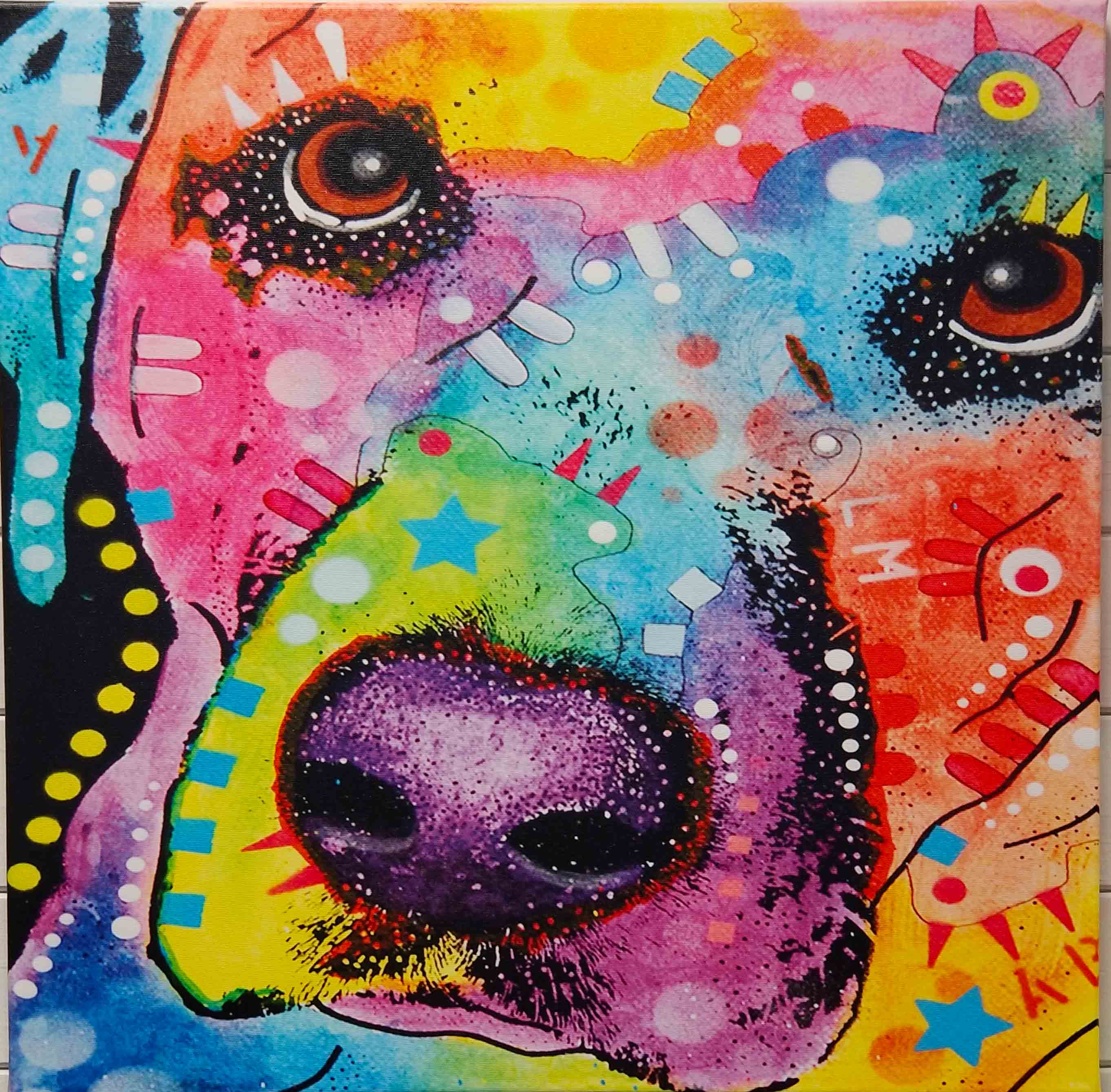 colorful dog